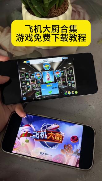 《安民宝库》飞机大厨合集游戏免费下载教程#飞机大厨 #飞机大厨ios在哪下 #飞机大厨怎么下载 #飞机大厨下载教程