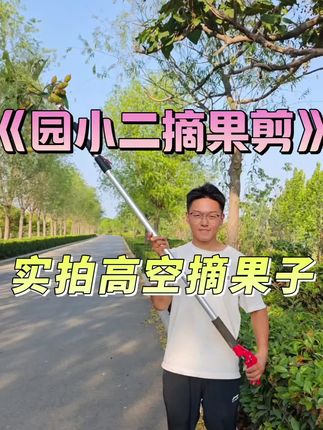 园小二摘果剪实拍高空摘果子#高空 #摘果神器 #荔枝 #龙眼 #园小二摘果剪