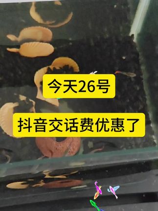 #省钱#省钱攻略#抖音充话费优惠中#抖音充话费入口