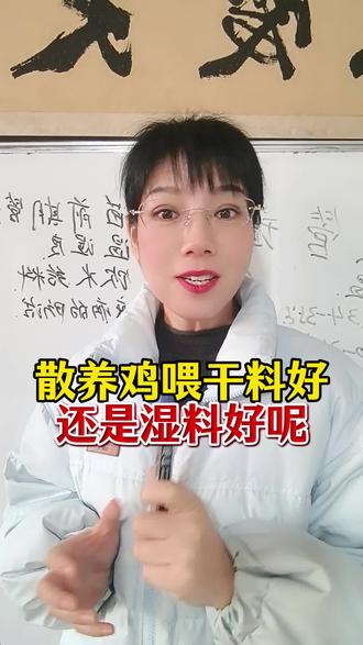 散养鸡喂干料还是湿料好呢#养鸡人#散养鸡#养殖户