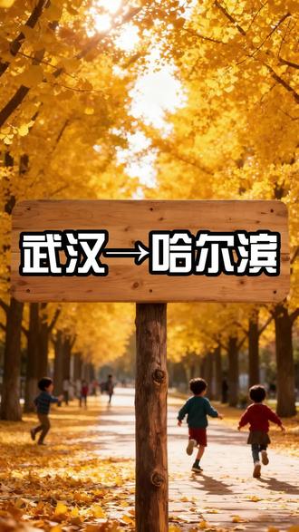 武汉去哈尔滨这样走也太划算了吧#武汉出发#哈尔滨#旅游推荐#青年创作者成长计划