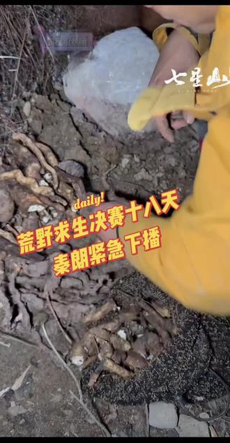 七星山荒野求生决赛第十八天,秦朗直播建哥突然紧急下播#张家界七星山骆驼杯#老六荒野#荒野求生#荒野建哥#秦朗