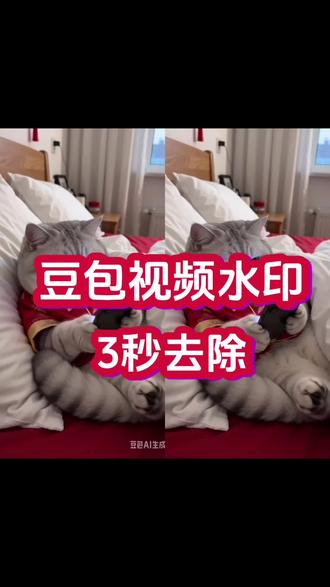 豆包视频怎么去水印#豆包水印如何消除