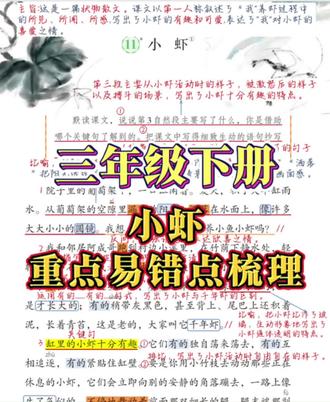 💯语文书里的考点都藏在哪 ✅ 三年级下册•第十一课《小虾》,重点易错点梳理汇总#三年级 #知识点总结 #预习 #复习