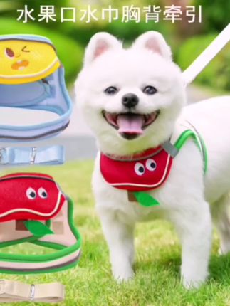 原创网面透气背心式猫咪狗狗牵引绳胸背带防挣脱夏季外出遛狗用品#好物推荐🔥 #实惠划算#爆款热卖中 @巨量千川 @小店随心推 @DOU+上热门