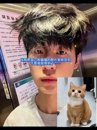 我和猫猫合拍ai指令教程来啦#豆包ai#梨花猫#拍照#萌宠#热门