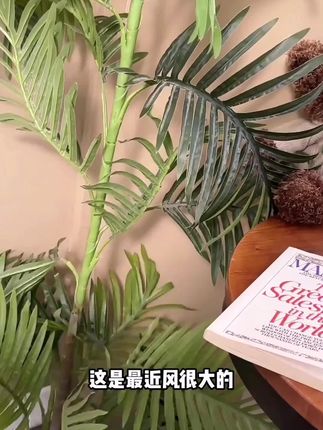otw棉花糖大号粉扑气垫超软不吃粉专用干湿两用粉底专用美妆工具#粉扑气垫