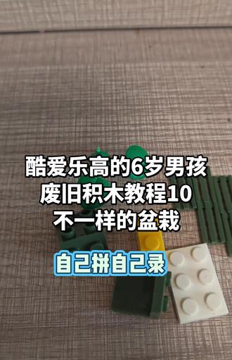 第十集 不一样盆栽。绿叶轻摇,白桌静立,每一块积木都是未完成的童话,拼凑出童年最柔软的梦。当碎片重聚成形,世界便有了新的名字——那是属于想象的春天#积木奇遇#童心未泯#积木搭建 #乐高积木 #积木的快乐
