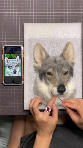 像不像可可西里那个骗蛋黄派吃的家伙
#捷克狼