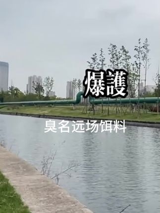 臭名远扬?鱼却爱疯!腥香暴击诱力满格,甩竿就咬,野钓黑坑通杀,渔获爆护不是梦!#臭名远扬