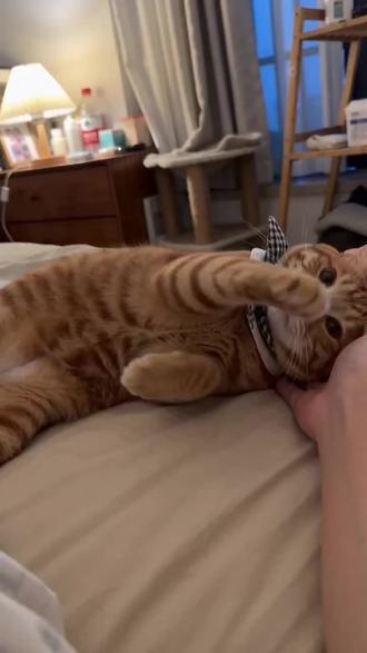 #AI宵夜悄悄话计划 #吃宵夜别问我我怕我会去 #随变ai随便玩