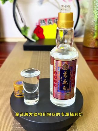 菊花白酒 #宫廷御酒菊花白 #强烈推荐 #宫廷玉液酒 #健康养生 #品酒品人生