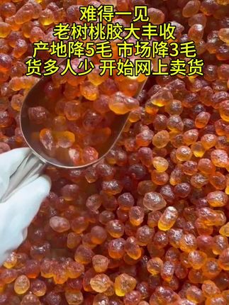 #桃胶!农家自晒老树桃胶#无限回购的宝藏单品#优质农产品