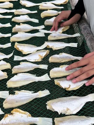 肉厚刺少 价格便宜 好吃不贵 #咸鱼干 #扒皮鱼 #大眼鱼 #海鲜干货 #源头好货
