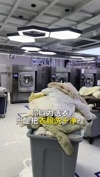 洗衣就选洗护侠,全国顺丰上门取送,双向包邮