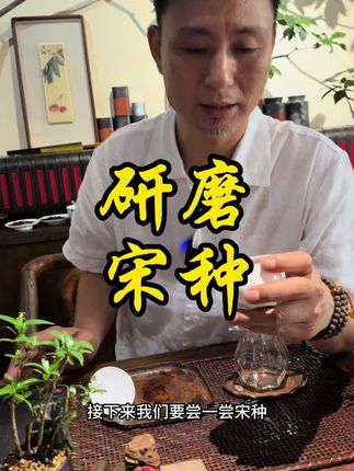 问樵鉴茶 #凤凰单丛茶#工夫茶#茶#普洱茶#泡茶
