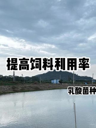 想要鱼虾蟹吃的欢,水产乳酸菌少不了 #水产养殖 #水产养殖技术 #鱼虾蟹养殖 #水产乳酸菌 #南美白对虾