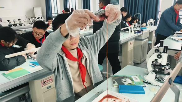 七年级项目式生物研学社--解剖鱼