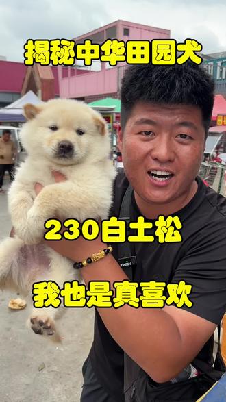230白土松,我是真相中! 胖嘟嘟的小熊#vlog十亿流量扶持计划 #土松