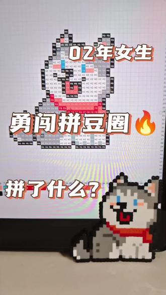 呆萌二哈,不拆家还是很可爱!
#手工diy #拼豆 #拼豆日常 #哈士奇 #拼豆图纸
