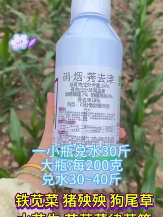 硝烟莠去津 玉米苗后专用,不伤又棵玉米苗#硝烟莠去津除草剂 #农业种植技术 #农业种植 #三农知识分享 #种植小技巧