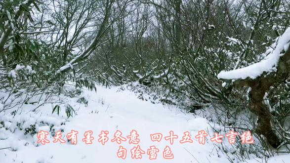 🌨【寒 天 有 墨 书 冬 意】❄️
45首七言绝句绘雪色☃️一笺清韵润流年
@文史汇观&(2025-11-19 财务)
朔风拂过霜枝,雪絮轻笼山川,冬日的清寂与温情皆藏于诗行。45首七言绝句以韵律为骨,勾勒雾凇凝玉、寒江独钓、围炉夜话、梅萼凝香等景致,既有山河壮阔之姿,亦有生活闲雅之趣。无需浓墨重彩,仅以清简笔墨串联冬之肌理,于平仄间藏尽“冷而不寂、清而有韵”的意境,邀你细品冬日元气,在清寒深处拾得岁月温良。
一、【自然之冬】(15首)
1. 《朔风卷雪》
朔风卷地雪漫天,万里江山裹素棉。
千峰寂寂凝寒色,静待春归暖日悬。
2. 《寒江锁冻》
寒江锁冻水无烟,岸柳枯疏挂晓天。
独鸟掠空留影去,冰痕印月净如禅。
3. 《雾凇凝玉》
雾凇垂玉满林川,晓日初升照素妍。
琼枝摇落银沙碎,疑是仙娥散彩钿。
4. 《晓霜侵舍》
霜凝草舍冷侵肩,晓雾迷蒙笼野田。
鸡声茅店催寒起,一抹朝阳破暝烟。
5. 《松涛耐雪》
千林叶落尽萧然,唯有松涛伴岁寒。
根盘厚土耐风雪,静待来春发翠峦。
6. 《霰雪封阡》
彤云密布压城边,霰雪纷飞落野阡。
行人裹絮匆匆过,遥指炊烟认客船。
7. 《寒潭待春》
寒潭见底石嶙峋,冰下鱼虾寂不闻。
静待春雷惊晓梦,碧波再映碧天云。
8. 《孤鸿踏雪》
荒原漠漠雪连天,朔气横吹透骨寒。
唯有孤鸿寻旧路,一声啼破万峰残。
9. 《篱菊傲冬》
晓霜染尽篱边菊,疏影横斜意自闲。
不与群芳争艳丽,独留清韵傲冬寒。
10. 《冰棱映日》
冰棱垂牖映清寒,日照檐角玉珠残。
顽童戏逐阶前雪,笑把梅花插鬓端。
11. 《千山覆雪》
千山失翠雪漫漫,万径人踪灭迹难。
唯有寒鸦栖老树,几声啼叫破空寒。
12. 《梅萼凝香》
寒风吹彻玉楼前,梅萼初绽暗香传。
月光如水铺银砌,疑是瑶池落九天。
13. 《孤村晚照》
野水冰封不见船,孤村落日起寒烟。
牧童横笛归林晚,踏碎残冰渡浅川。
14. 《霜华映菊》
霜华满地覆青毡,晓色初开映远天。
篱边菊老香犹在,引得寒蜂恋旧妍。
15. 《樵翁踏雪》
朔气凝寒结玉筵,千峰如黛裹银棉。
樵翁踏雪深山去,斧响丁丁破寂然。
二、【人文之冬】(15首)
1. 《围炉夜话》
围炉夜话酒初温,共话桑麻笑语喧。
窗外寒风吹雪紧,室内温情暖客魂。
2. 《寒江独钓》
寒江独钓披蓑翁,静待鱼肥暮色浓。
一曲渔歌随浪远,半生清寂寄孤篷。
3. 《踏雪寻幽