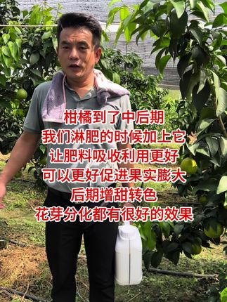 我们淋肥的时候加上硝钠萘乙酸,好处真的多,关键很省钱,一桶兑水4-6万斤