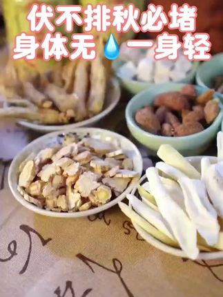 “身体像被裹了层湿棉被?总觉得沉甸甸、没精神,头发油得快,舌苔厚腻没胃口……#三伏天养生 #小主无湿轻 #排湿祛寒