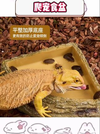 养爬宠的宝子看过来呀😉这款树脂食盆水盆喂食器太绝啦!给鬃狮蜥蜴、陆龟、角蛙、守宫用超合适,还能当造景用品,树脂材质安全无毒,内壁光滑好清洁,还有自然纹理,超棒的👏,#爬宠用品 #树脂喂食器 #鬃狮蜥蜴  #角蛙 #守宫