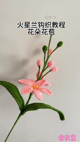 火星兰钩织教程来啦! #手工钩织教程 #有图解 #零基础教学钩织 #钩织花 #好看的花
