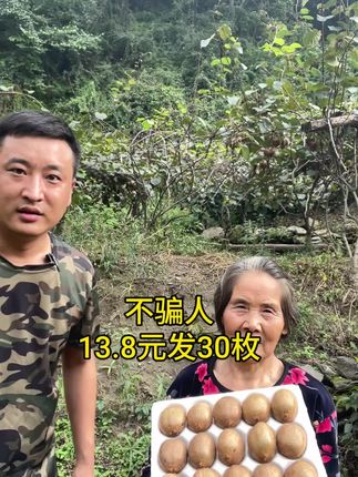 自家的徐香猕猴桃熟啦,13.8元发30枚包邮#眉县猕猴桃酸甜刚刚好 #星乡村星农人 #猕猴桃 #上热门 #抖音美好丰收节