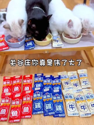 猫饭试吃,9块9到手8包,还有3种口味,囤的越多越划算,赶紧薅呀!#新手养猫 #猫饭 #养猫经验分享