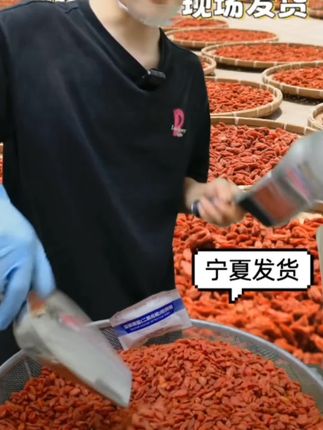 净重凤圣果新货特级枸杞无硫磺泡水泡酒宁夏枸杞产地直销#宁夏枸杞 #宁夏特产 #枸杞
