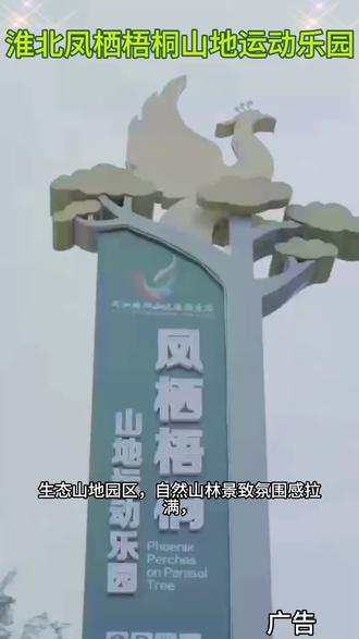 淮北凤栖梧桐山地运动乐园。网红打卡点位多,白天夜景都出片 #淮北凤栖梧桐山地运动乐园#鲁豫苏皖凤栖梧桐主题泳漂#来凤栖梧桐浇个朋友