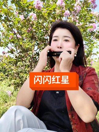 闪闪红星 C调 #2025上海伴手礼#国光24孔生肖口琴 #经典老歌