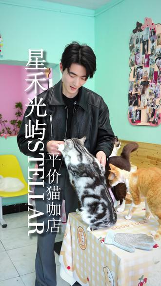 撸猫自由,快乐上头✨#宠物猫 #宝藏宠物研究所 #爱猫新系列 #猫咖#撸猫