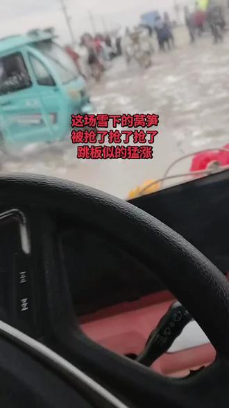 暴风雨来临时菜价猛涨