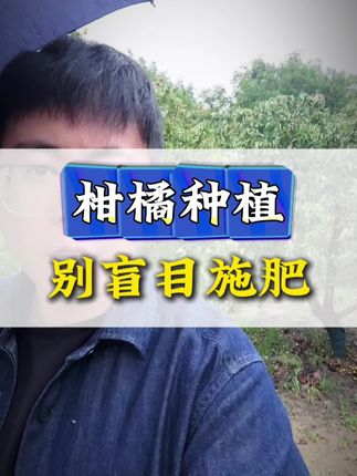 柑橘转色 别盲目跟风 #柑橘种植 #柑橘管理 #果树管理 #果树种植 #柑橘转色