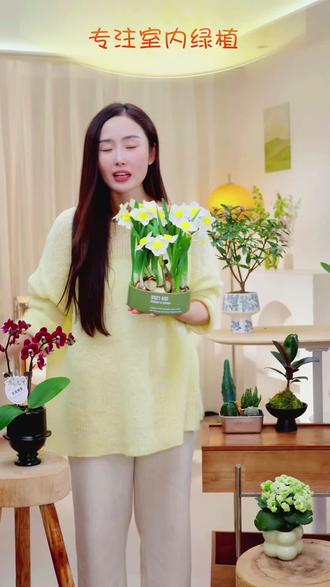 好养水培水仙花年宵花开花盆栽盆景室内客厅办公室桌面观花卉绿植#水仙花 #水培植物 #年宵花 #水仙花养护