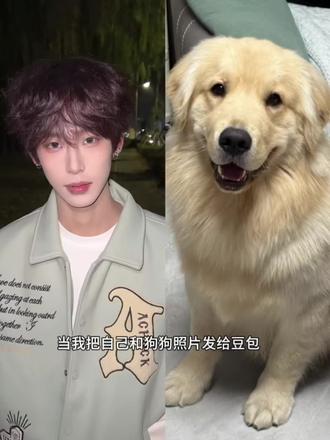 与宠物合拍ai 指令教程来咯#我担秒了全世界 #豆包ai #豆包出大片有两把刷子 #与宠物合拍 #一张照片证明你的宠物被你养的很好