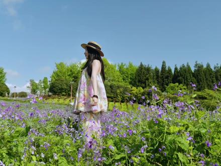 五一的黔北花海,又有一处拍照打卡胜地!当然除了出片这里还有美食美景等你来玩!#遵义周边游 #桐梓游玩 #黔北花海
