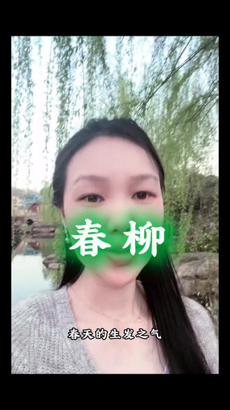 生发之气,少阳之气,#柳树 #春天的色彩 #植物科普 #传承弘扬中国传统文化