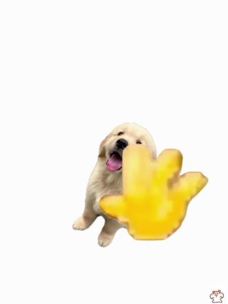 #剪映 #Hello挥手小猫 #小狗