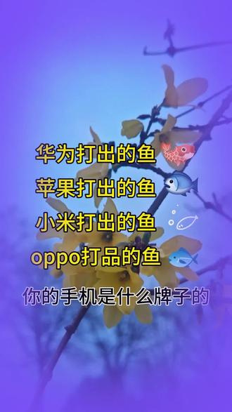 各种手机发出来的🐡都不一样#不一样的鱼#不信试试