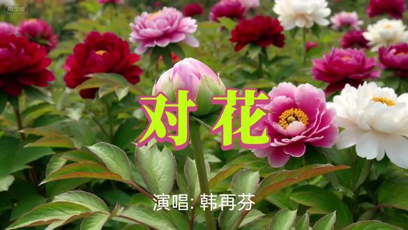 【黄梅戏专辑】《对花》韩再芬演唱#传播戏曲文化