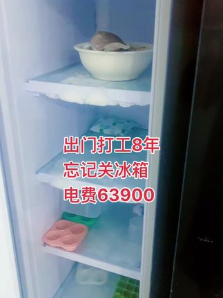 出门记得关冰箱#日常生活 #vlog日常 #分享