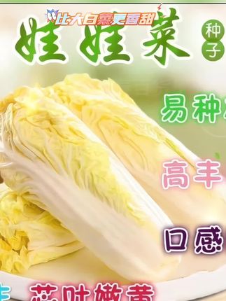 “种得人间易种田,高丰收成满眼前。”娃娃菜,餐桌上的小清新。 #每天好物分享 #健康生活