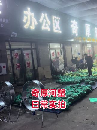#河蟹#螃蟹#盘锦河蟹#稻田蟹#水库蟹