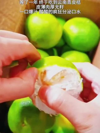 (新品上市)2025年青皮酸甜橘子!蜜桔无籽新鲜现摘蜜橘应季水果桔子!酸酸甜甜味道##水果#青皮橘