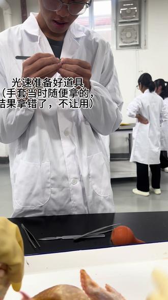 动物医学之解剖课#大学日常 #热门